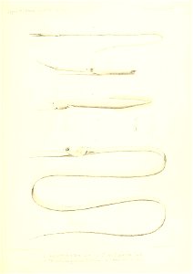 n432_w1150