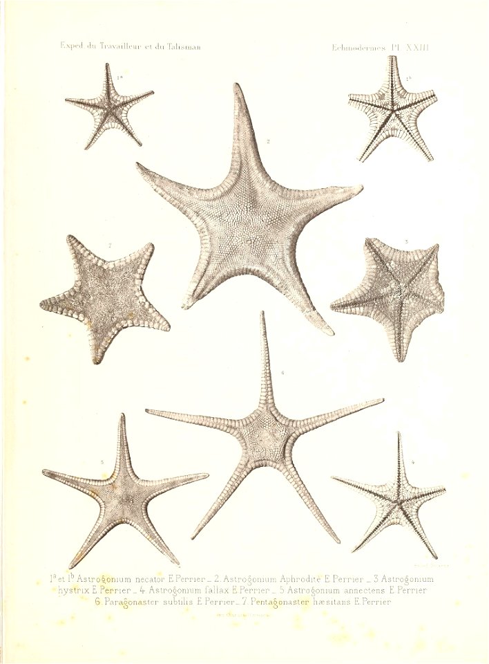 n488_w1150