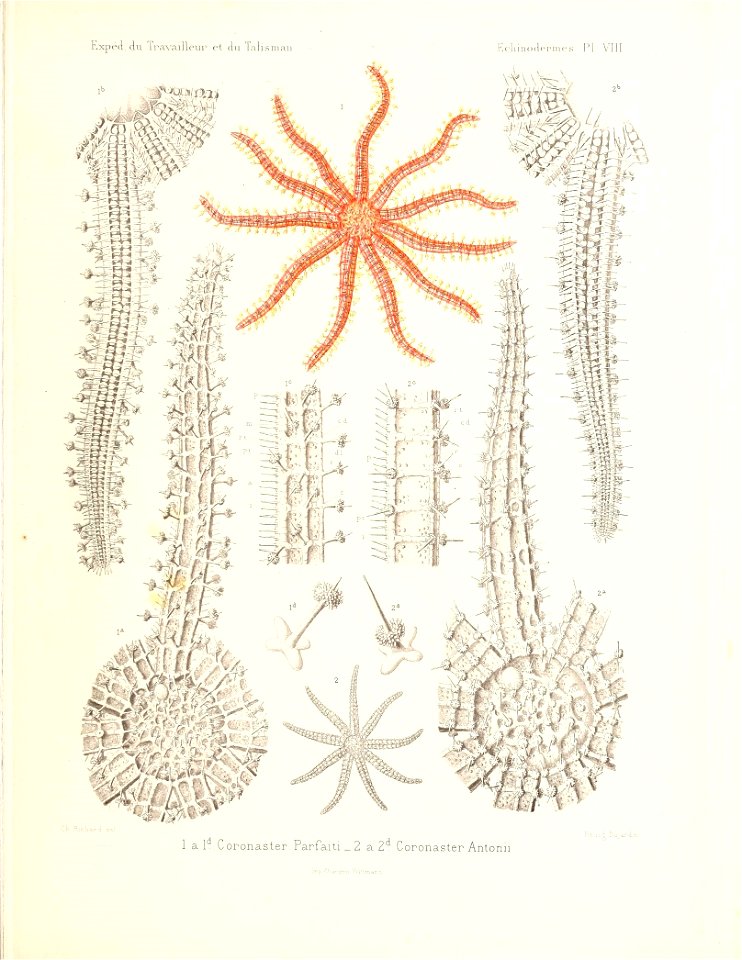 n458_w1150