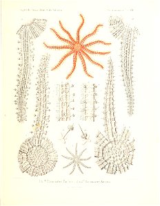 n458_w1150