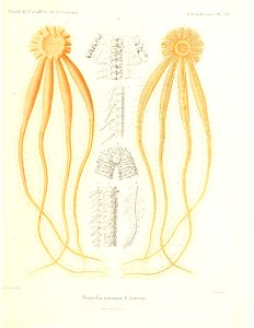 n456_w1150