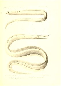 n428_w1150