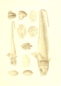 n456_w1150