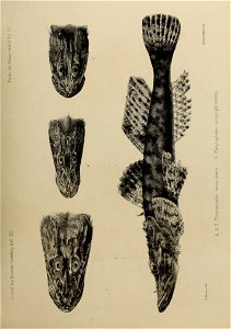 n102_w1150
