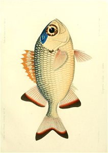 n264_w1150