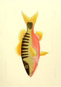 n174_w1150