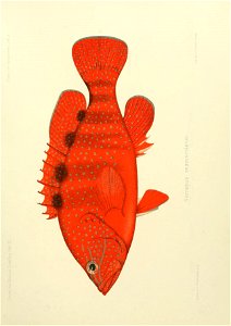 n144_w1150