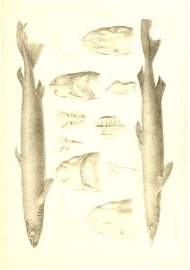 n422_w1150