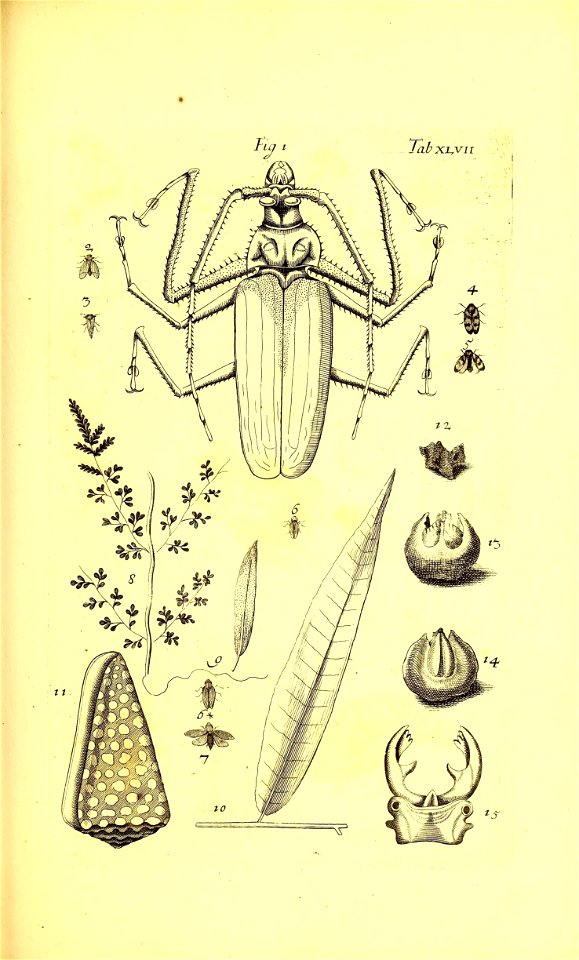 n174_w1150