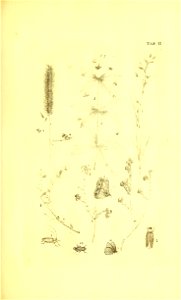 n84_w1150