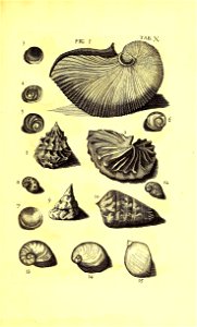n412_w1150