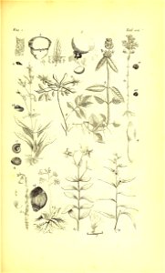 n292_w1150