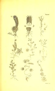 n260_w1150