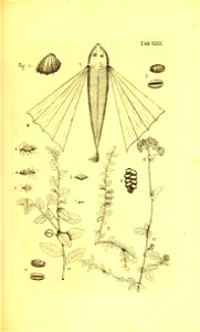 n140_w1150