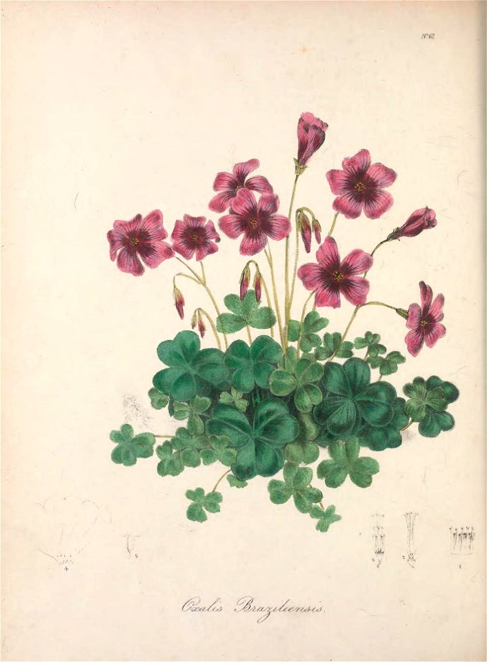 n113_w1150