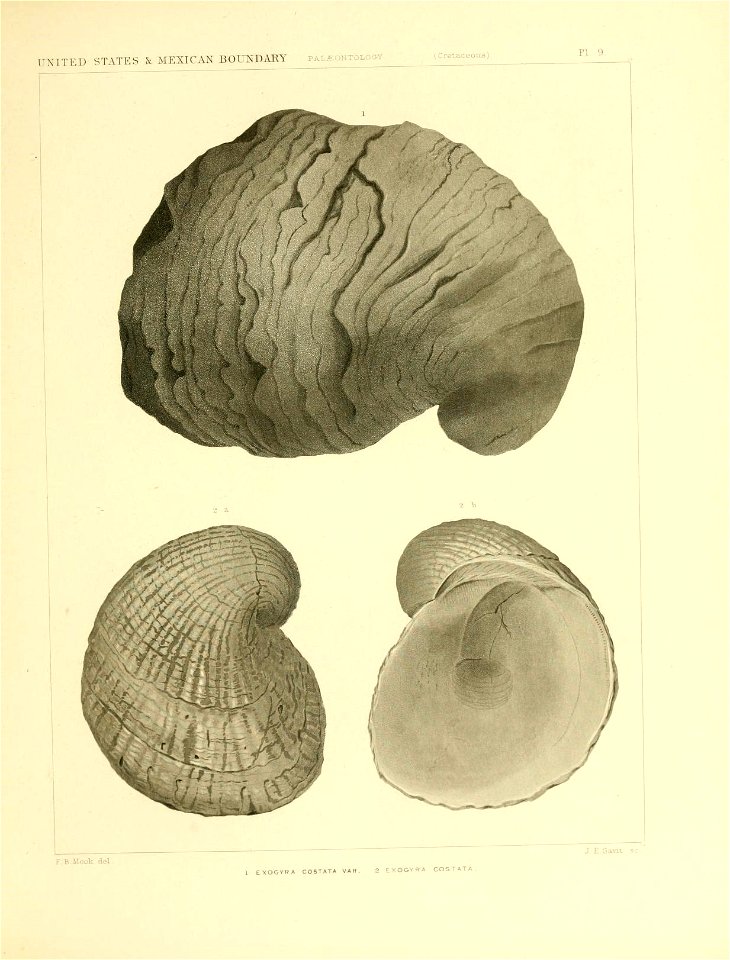 n204_w1150