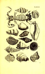 n406_w1150