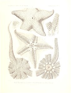 n466_w1150