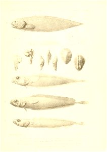 n468_w1150