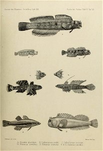 n166_w1150