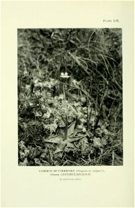 n407_w1150