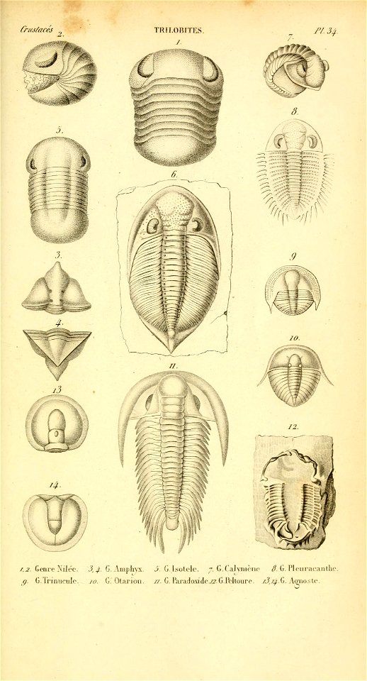 n110_w1150