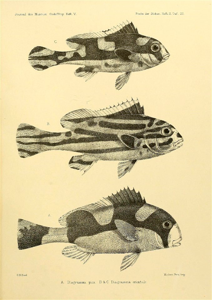 n184_w1150