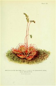 n402_w1150
