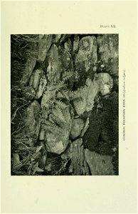 n170_w1150