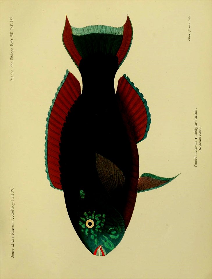 n170_w1150
