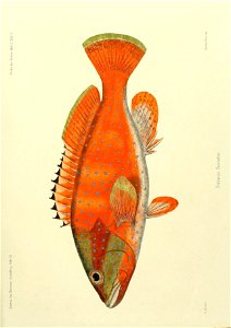 n152_w1150