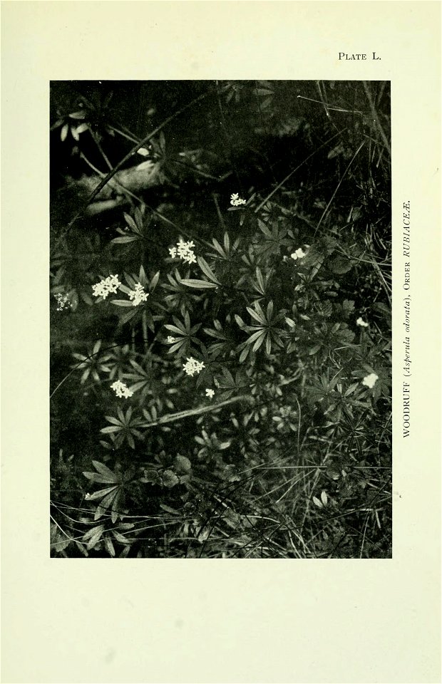n398_w1150