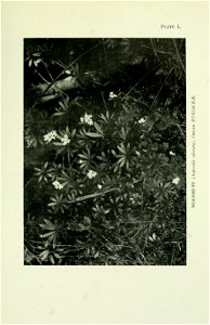 n398_w1150