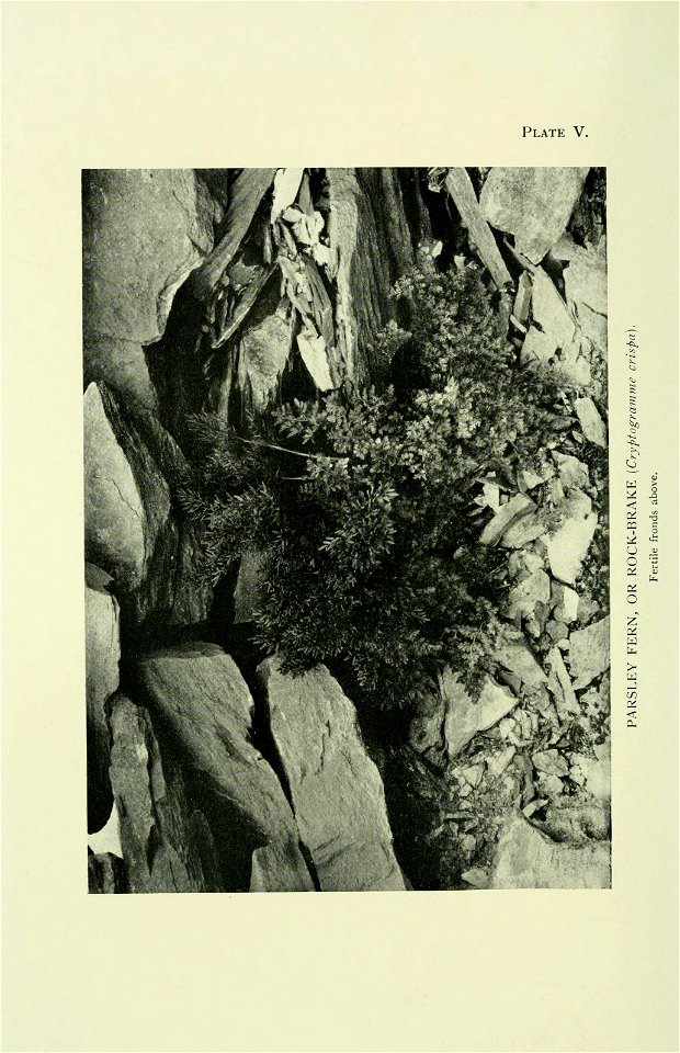 n161_w1150