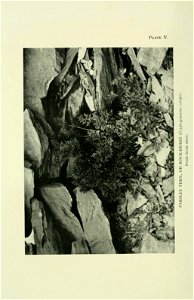n161_w1150