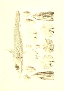 n460_w1150