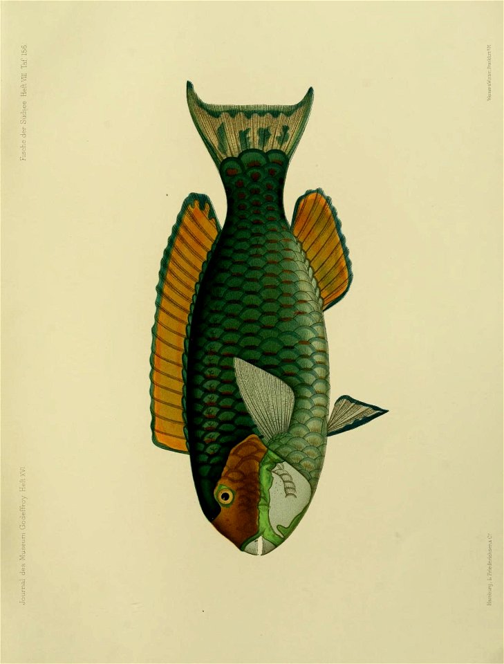 n168_w1150