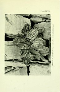 n386_w1150