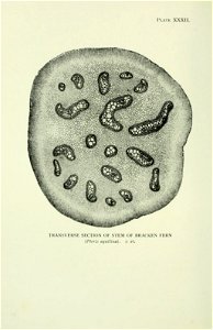 n313_w1150