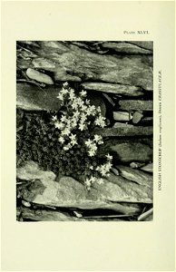 n381_w1150