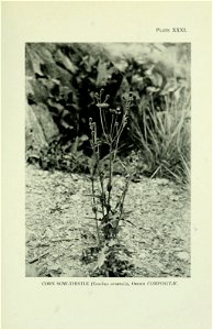 n306_w1150