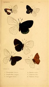 n94_w1150