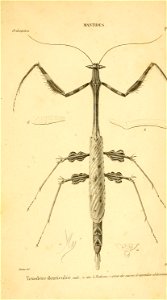 n828_w1150