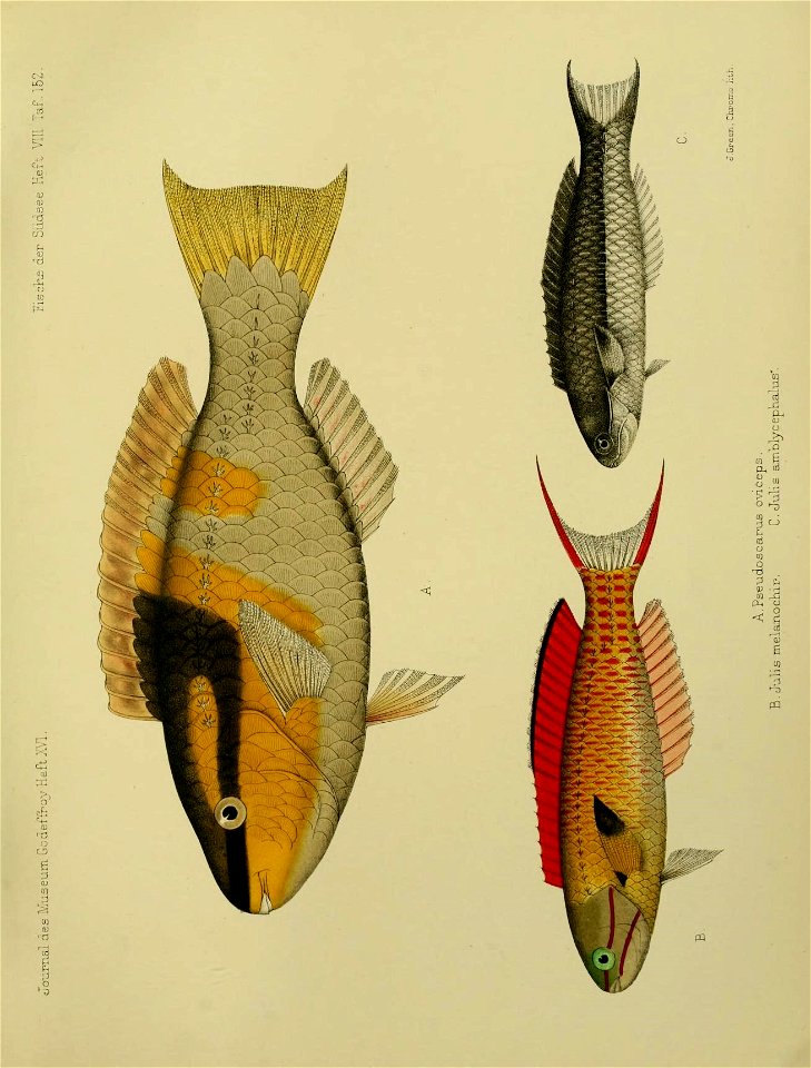 n160_w1150