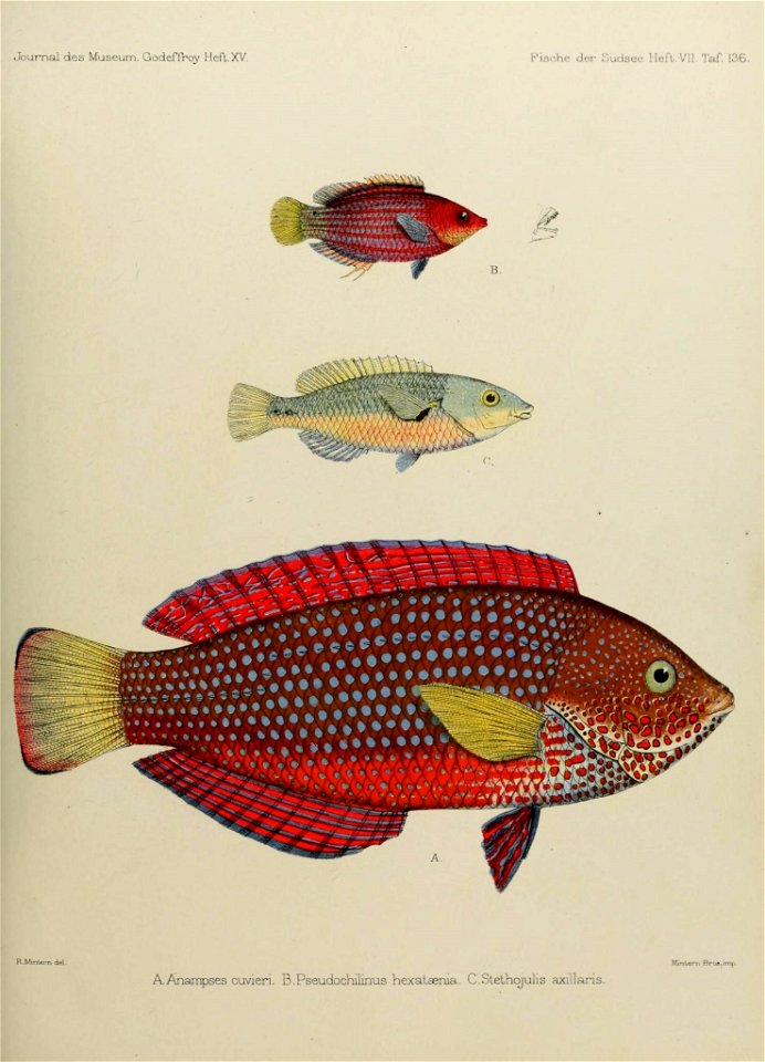n256_w1150