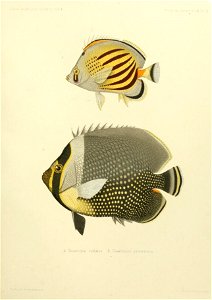 n202_w1150