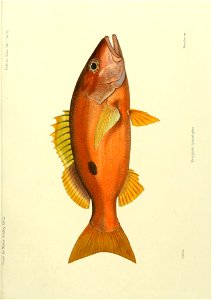 n172_w1150