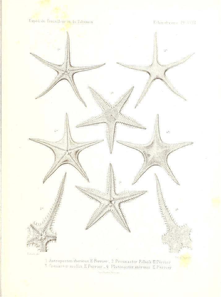 n478_w1150