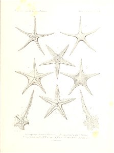 n478_w1150