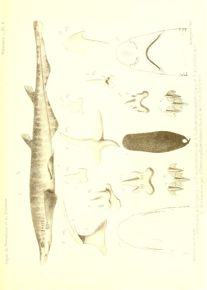 n420_w1150
